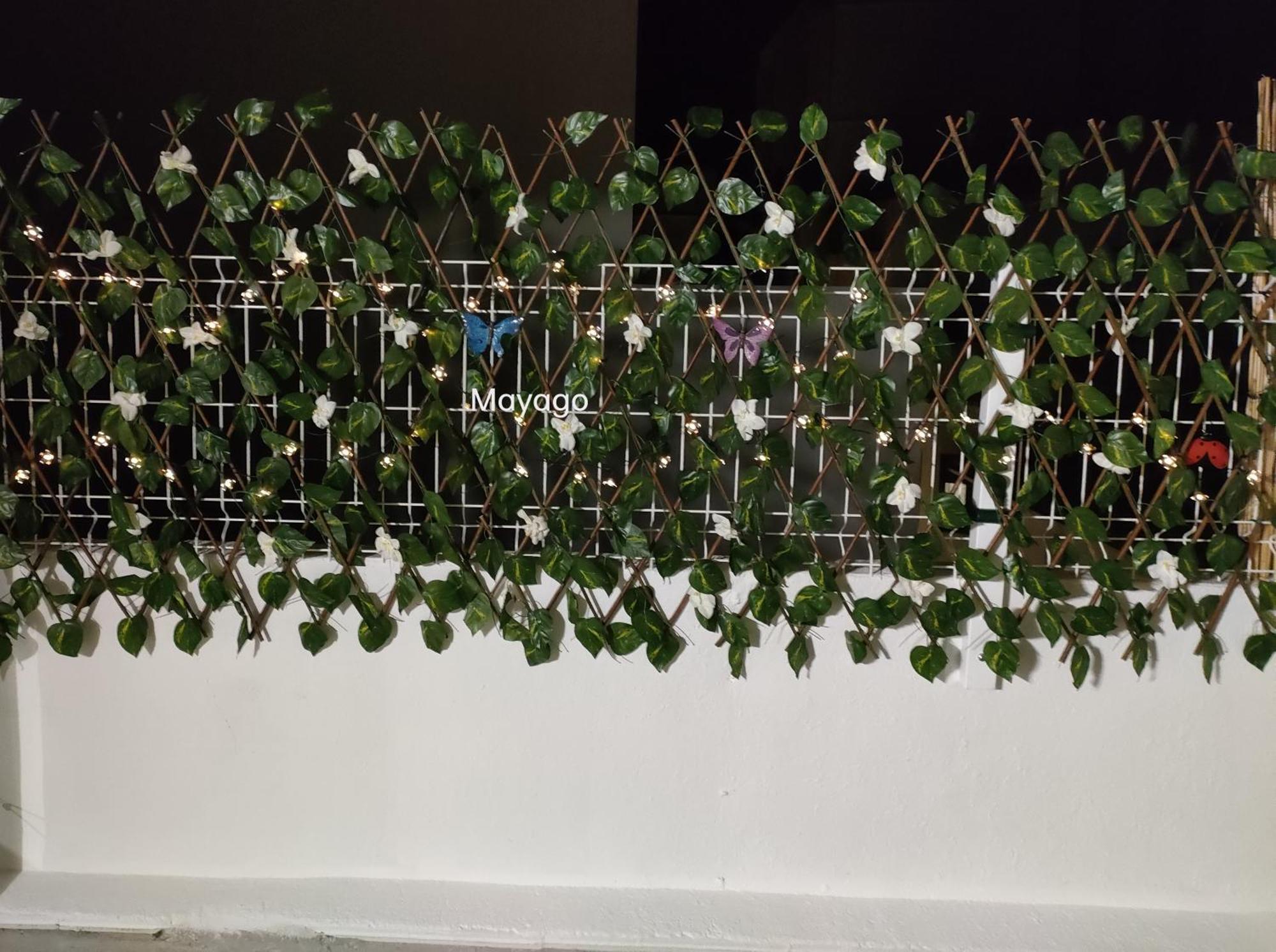 Casa Mayago, Terraza Y Solarium Pego Eksteriør billede